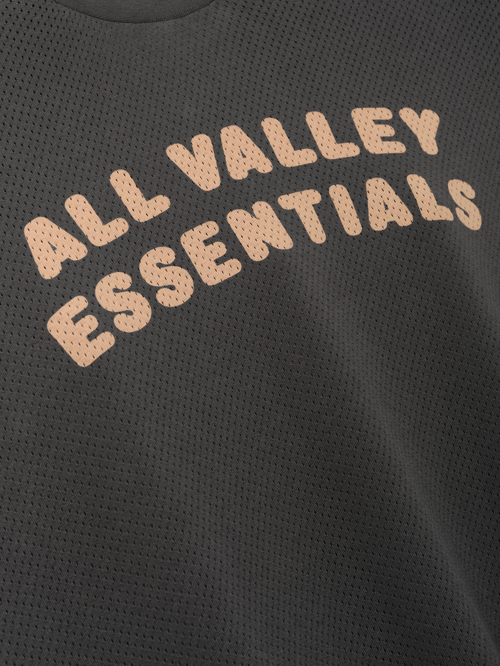 Womens Sport Mesh Merch Tee